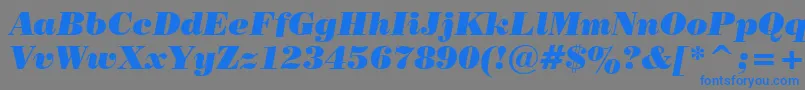 PosterBodoniItalicBt Font – Blue Fonts on Gray Background