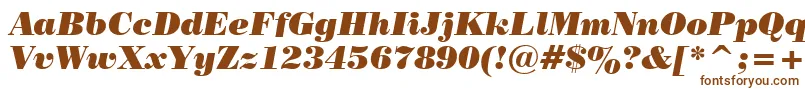 PosterBodoniItalicBt Font – Brown Fonts