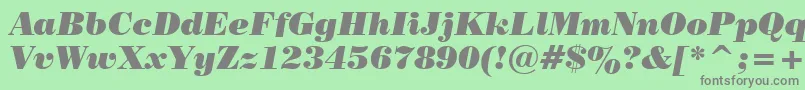 PosterBodoniItalicBt Font – Gray Fonts on Green Background