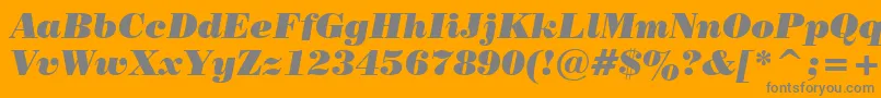 PosterBodoniItalicBt Font – Gray Fonts on Orange Background