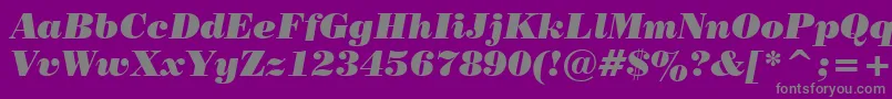 PosterBodoniItalicBt Font – Gray Fonts on Purple Background