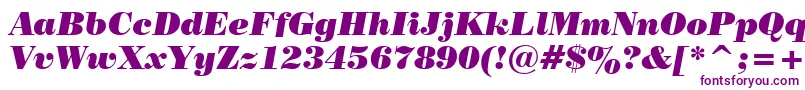 PosterBodoniItalicBt Font – Purple Fonts on White Background