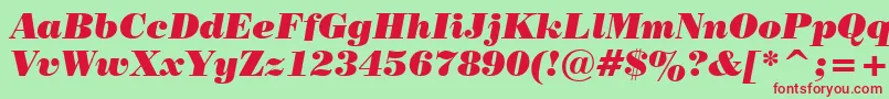 PosterBodoniItalicBt Font – Red Fonts on Green Background