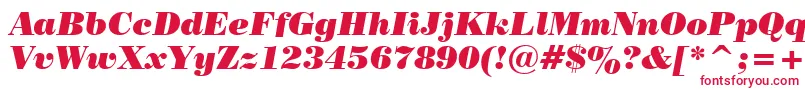 PosterBodoniItalicBt Font – Red Fonts