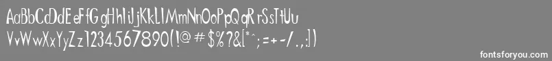 フォントDitneesRegular – 灰色の背景に白い文字