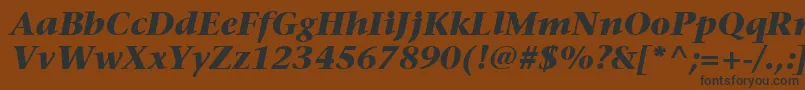 ItcStoneSerifLtBoldItalic Font – Black Fonts on Brown Background