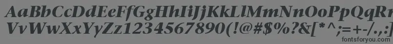 ItcStoneSerifLtBoldItalic Font – Black Fonts on Gray Background