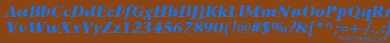 ItcStoneSerifLtBoldItalic Font – Blue Fonts on Brown Background