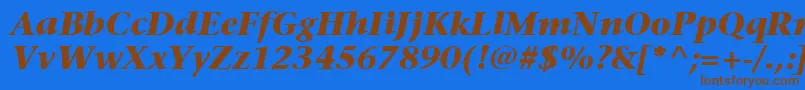 ItcStoneSerifLtBoldItalic Font – Brown Fonts on Blue Background