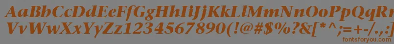 ItcStoneSerifLtBoldItalic Font – Brown Fonts on Gray Background