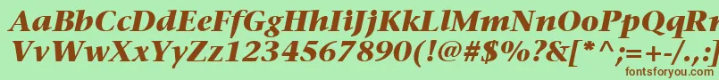 ItcStoneSerifLtBoldItalic Font – Brown Fonts on Green Background