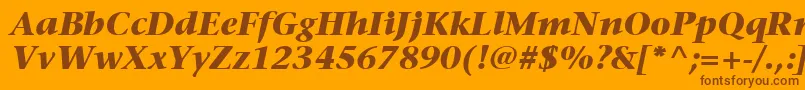 ItcStoneSerifLtBoldItalic Font – Brown Fonts on Orange Background