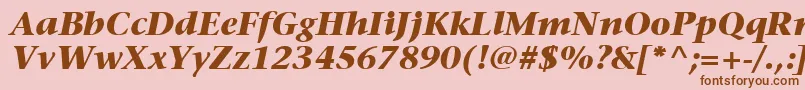 ItcStoneSerifLtBoldItalic Font – Brown Fonts on Pink Background