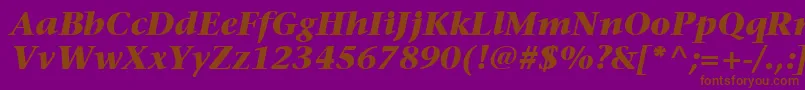 ItcStoneSerifLtBoldItalic Font – Brown Fonts on Purple Background