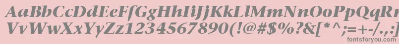 ItcStoneSerifLtBoldItalic Font – Gray Fonts on Pink Background