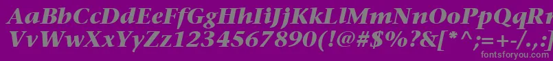 ItcStoneSerifLtBoldItalic Font – Gray Fonts on Purple Background