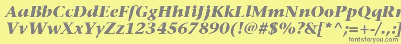 ItcStoneSerifLtBoldItalic Font – Gray Fonts on Yellow Background