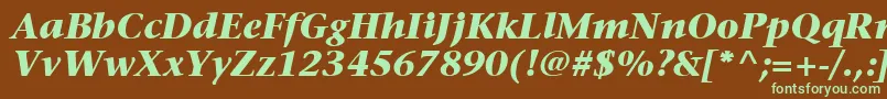 ItcStoneSerifLtBoldItalic Font – Green Fonts on Brown Background