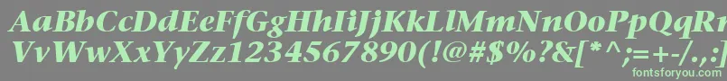 ItcStoneSerifLtBoldItalic Font – Green Fonts on Gray Background