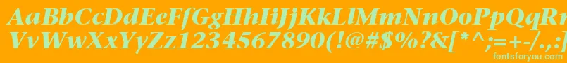 ItcStoneSerifLtBoldItalic Font – Green Fonts on Orange Background