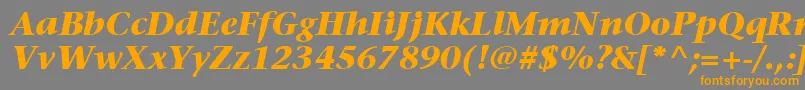 ItcStoneSerifLtBoldItalic-fontti – oranssit fontit harmaalla taustalla