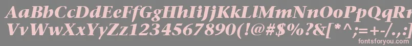 fuente ItcStoneSerifLtBoldItalic – Fuentes Rosadas Sobre Fondo Gris