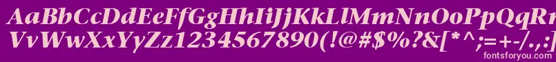 ItcStoneSerifLtBoldItalic Font – Pink Fonts on Purple Background