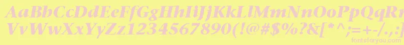 ItcStoneSerifLtBoldItalic Font – Pink Fonts on Yellow Background