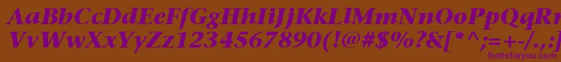 ItcStoneSerifLtBoldItalic Font – Purple Fonts on Brown Background