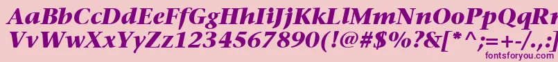 fuente ItcStoneSerifLtBoldItalic – Fuentes Moradas Sobre Fondo Rosa