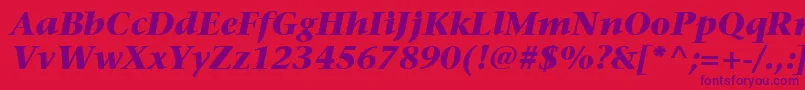 ItcStoneSerifLtBoldItalic Font – Purple Fonts on Red Background