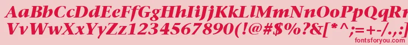 ItcStoneSerifLtBoldItalic Font – Red Fonts on Pink Background