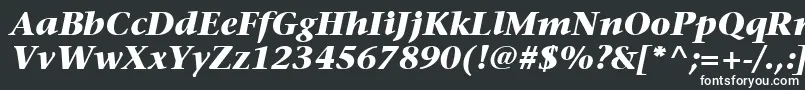 フォントItcStoneSerifLtBoldItalic – 黒い背景に白い文字