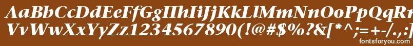 フォントItcStoneSerifLtBoldItalic – 茶色の背景に白い文字