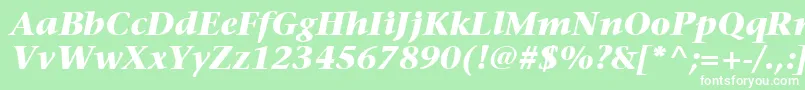 Czcionka ItcStoneSerifLtBoldItalic – białe czcionki na zielonym tle