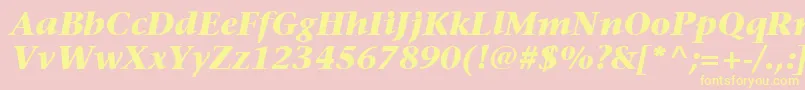 ItcStoneSerifLtBoldItalic Font – Yellow Fonts on Pink Background
