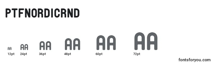 PtfNordicRnd Font Sizes