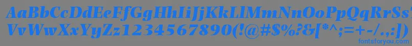 PhotinaMtUltraBoldItalic Font – Blue Fonts on Gray Background