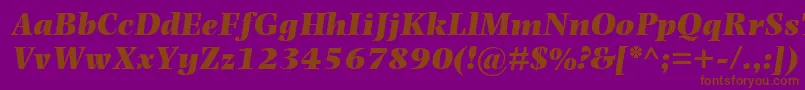 PhotinaMtUltraBoldItalic Font – Brown Fonts on Purple Background