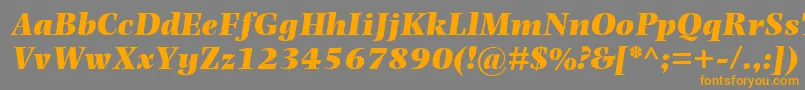 PhotinaMtUltraBoldItalic Font – Orange Fonts on Gray Background