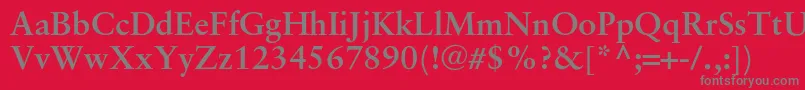 フォントSaboncBold – 赤い背景に灰色の文字