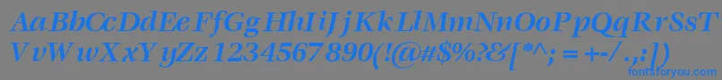 VoracesskBoldItalic Font – Blue Fonts on Gray Background