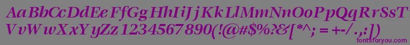 VoracesskBoldItalic Font – Purple Fonts on Gray Background