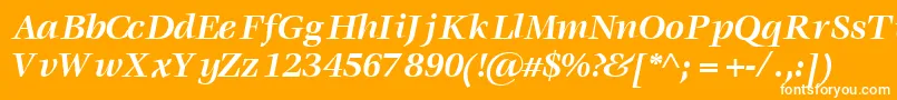 フォントVoracesskBoldItalic – オレンジの背景に白い文字