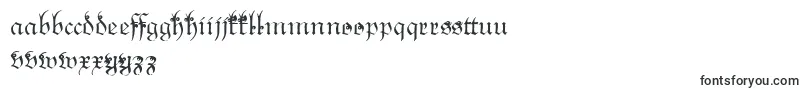 Snoutlike-fontti – englantilaiset fontit