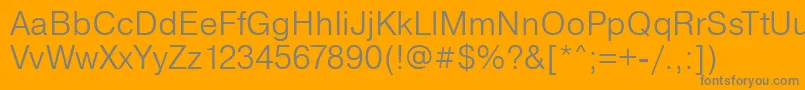 PragmaticaLight Font – Gray Fonts on Orange Background