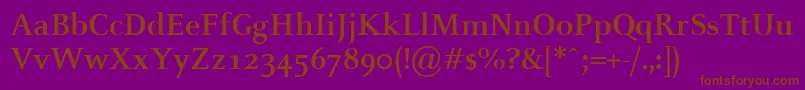 CelesteBold Font – Brown Fonts on Purple Background