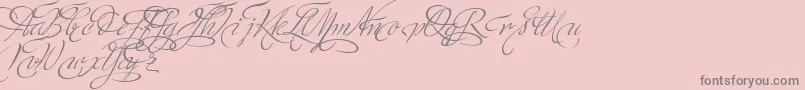 MinistryScriptSwashHff-Schriftart – Graue Schriften auf rosa Hintergrund