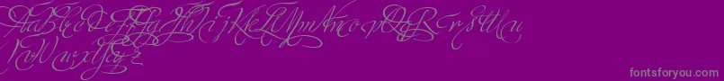 MinistryScriptSwashHff Font – Gray Fonts on Purple Background