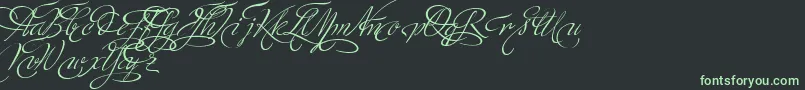 MinistryScriptSwashHff Font – Green Fonts on Black Background